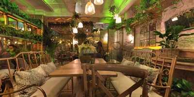 El Invernadero De Salvador Bachiller