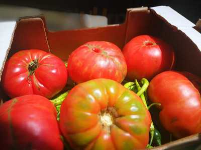 Que Si Quieres Arroz Catalina