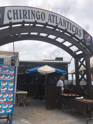 Chiringo Atlanticus
