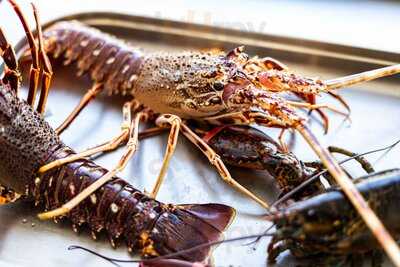 Markus Chef’s Kitchen