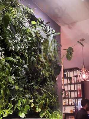 Ornella Velázquez - Photo 8