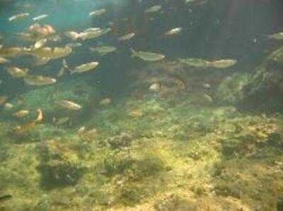 Mu Restaurant And Beach Bar