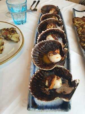 El Urogallo - Príncipe Pío