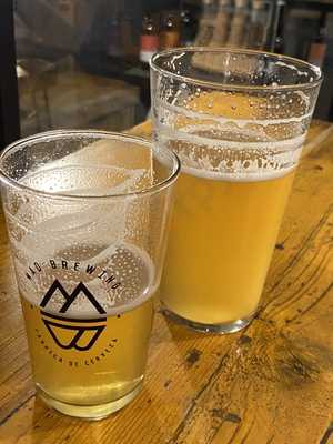Mad Brewing