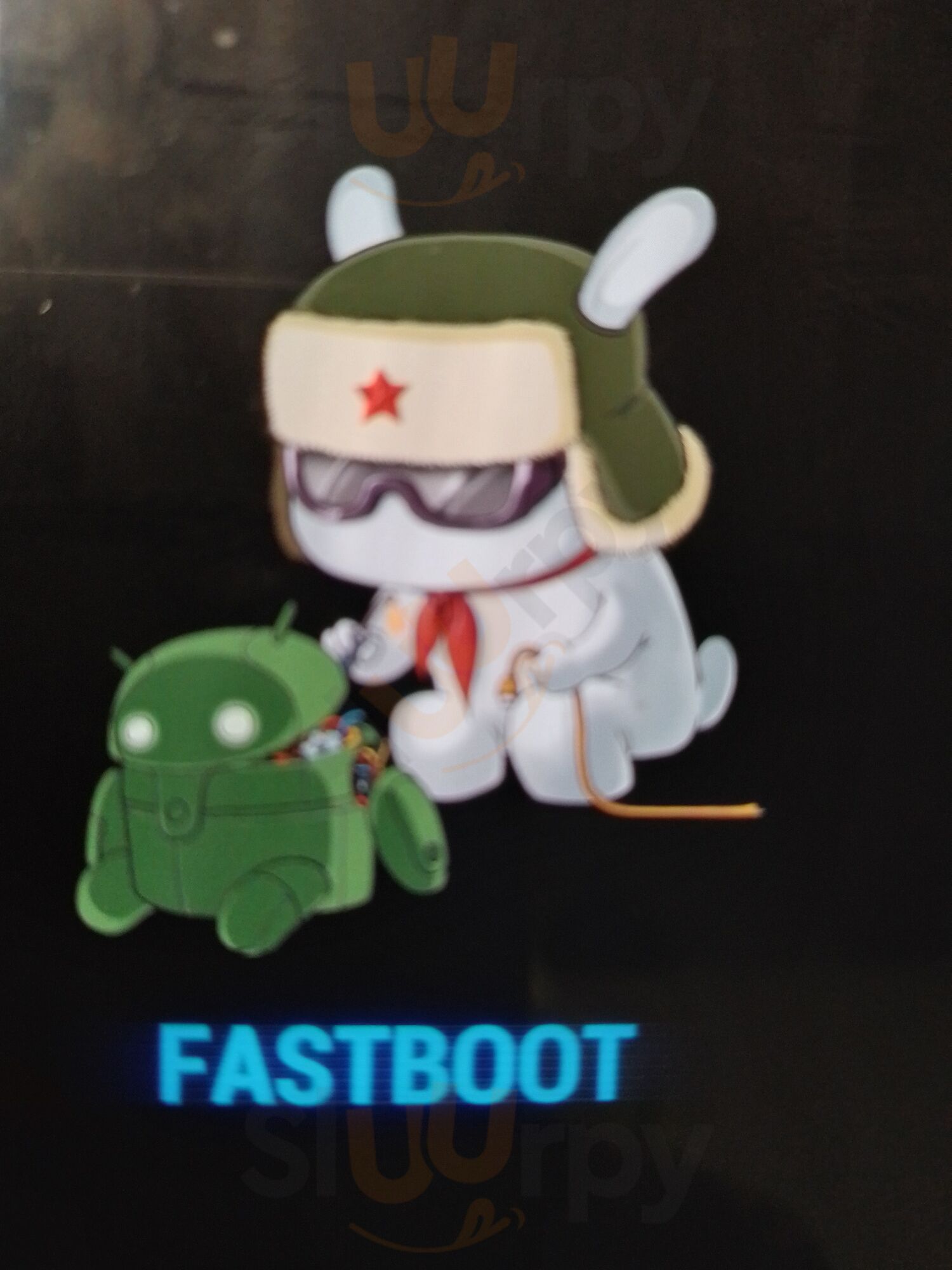 El Brunch Del Wellington