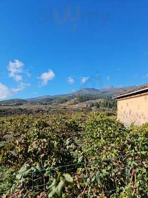 Bodega Lagar De Chasna