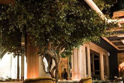 Numa Pompilio Restaurante