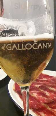 El Gallocanta Taberna