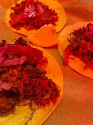 Gracias Padre Jungle Club