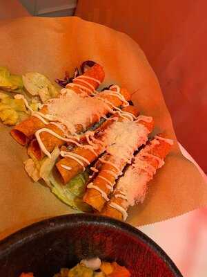 Gracias Padre Jungle Club