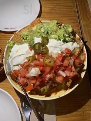 Gracias Padre Jungle Club