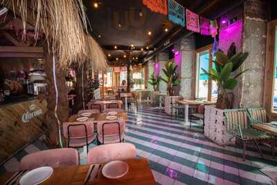 Gracias Padre Jungle Club