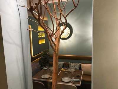 Mesteño Bar By Jesús Almagro