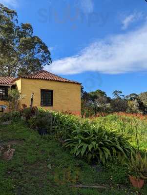 Restaurante El Bisoñé