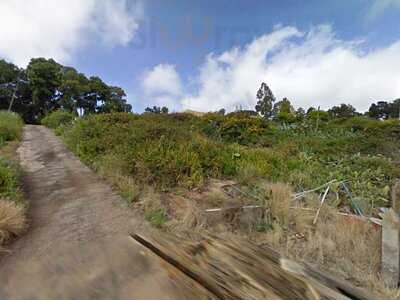 Restaurante El Bisoñé