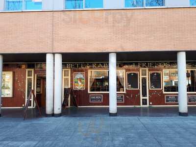 Peter Rabbit & Friends