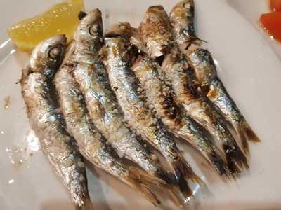 El Subastero De Málaga