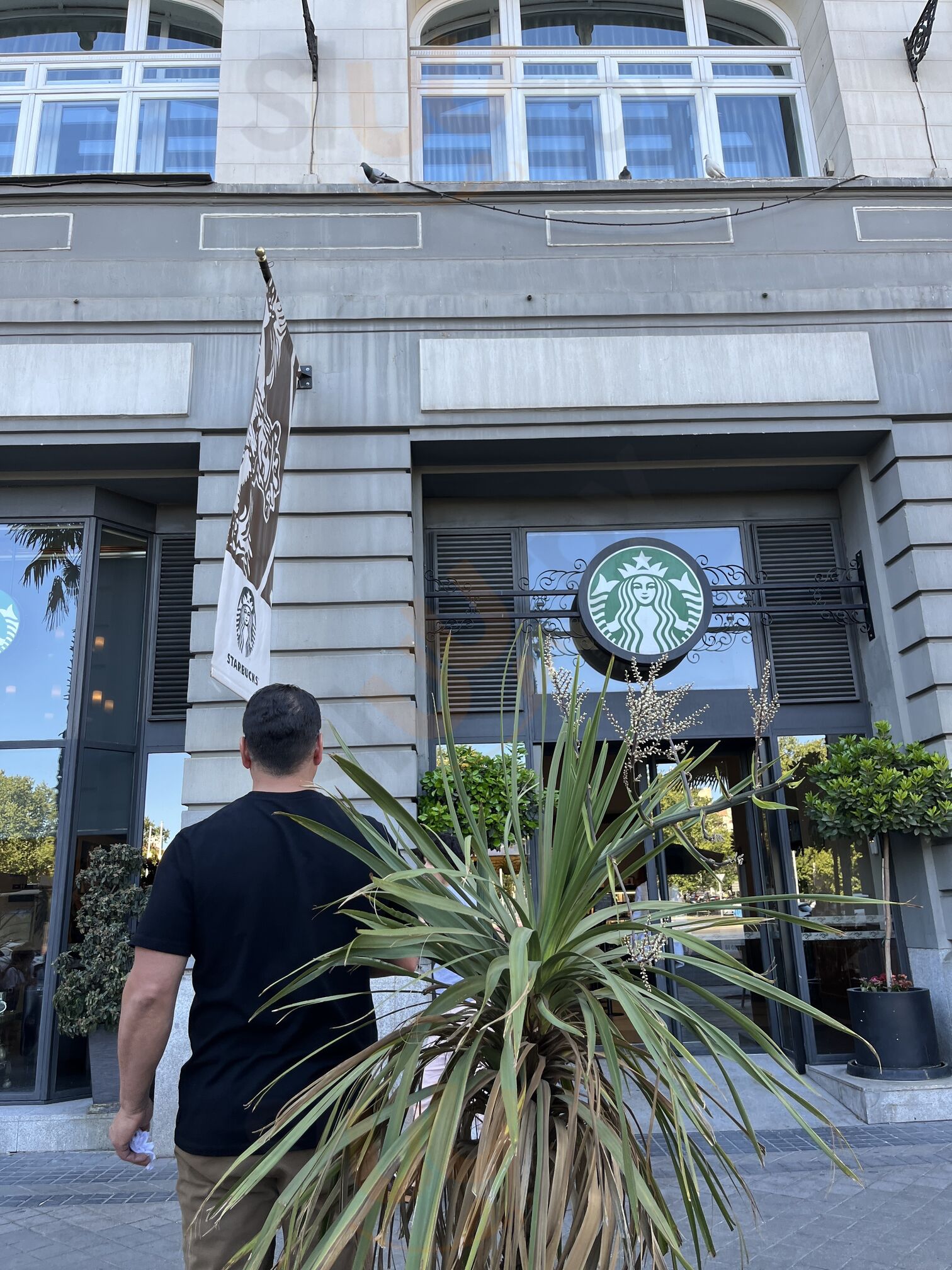 Starbucks Palace