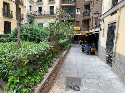 Taqueria Del Alamillo