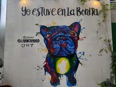 La Bonita Madrid