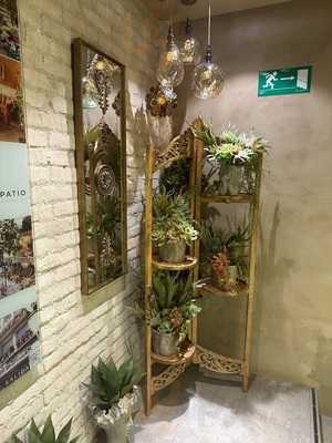 JardÍn Salvador Bachiller