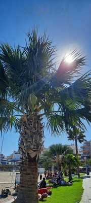 Paparazzi Restaurante & Pizzeria