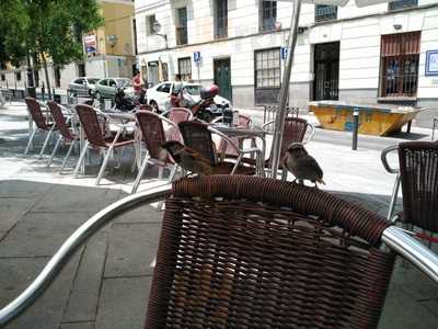 El Estragon Vegetariano