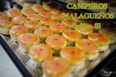 Camperos Malagueños
