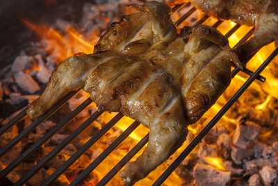 Kip Pollo Al Carbón