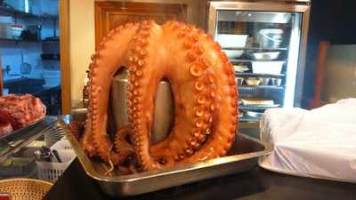 Don Pulpo