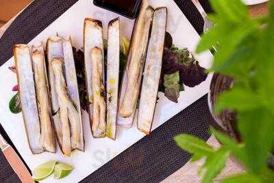 Las Raíces Del Wellington