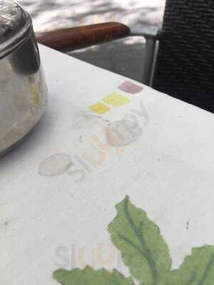 Jose Luis General Oraá