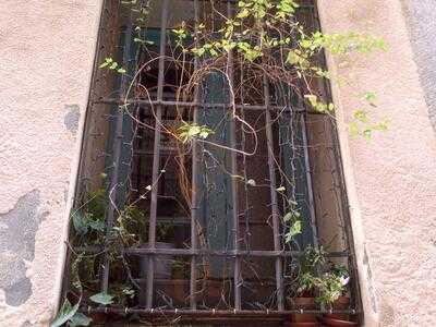 El Jardin Del Convento