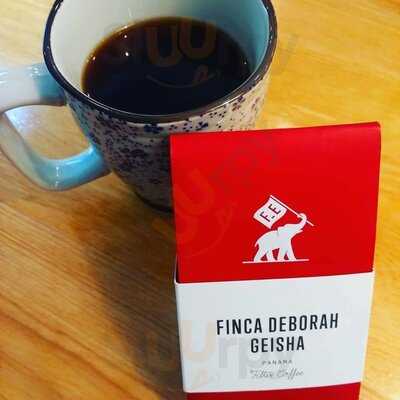 Masters Specialty Coffee