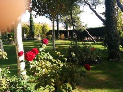 Restaurante Jardin El Mesonero