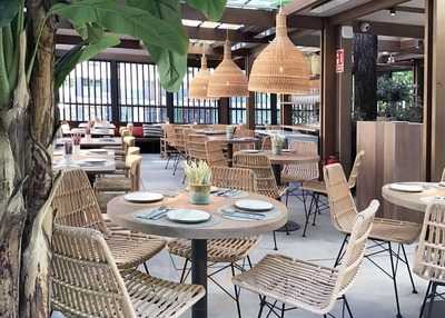 Saona - General Gallegos