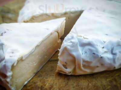 Escafandra - Taberna Vegana