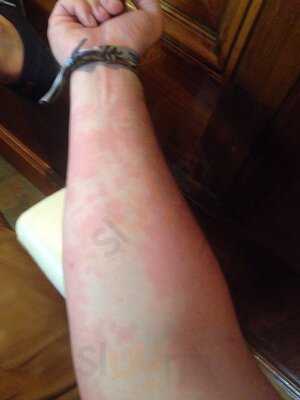 Cerveceria La Parroquia De Pablo