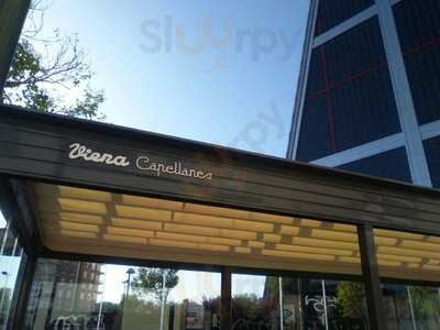 Viena Capellanes