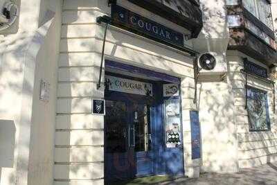 Bar Cougar
