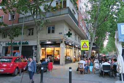 Bar Campanoli - Photo 8