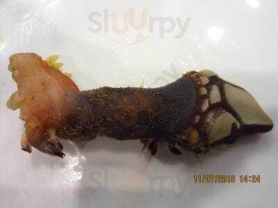 Terra Celta - Photo 8