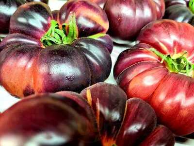 Cerveceria Trujillo Marisqueria