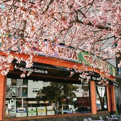 Pura Vida Cantina Tex Mex