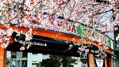 Pura Vida Cantina Tex Mex