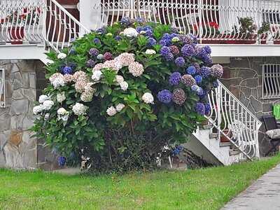 Restaurante Hotel La Casona De Lupa