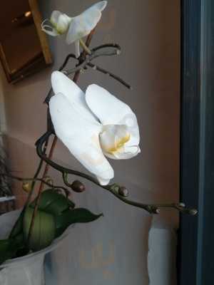 Cafe Restaurante La Esquina