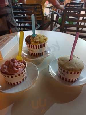 Jijonenca Enrique Verdu