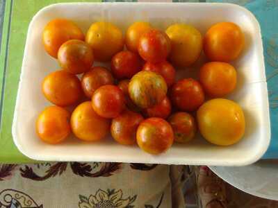 Utopia Tapas Y Vinos