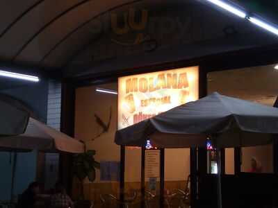 Molana Especial Doner Kebap